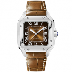 cartier wssa0065 1 600x600 1
