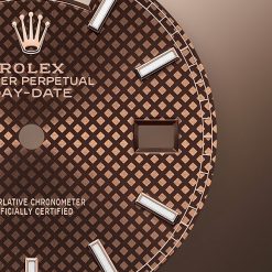 model feature background everose portrait 1 e59601a0 3a6e 461c 95c0 09d493088e1b